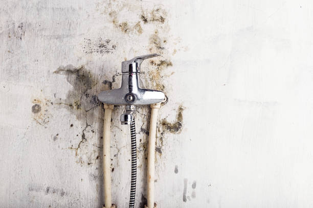 Best Bathroom Mold Remediation in Mary Esther, FL